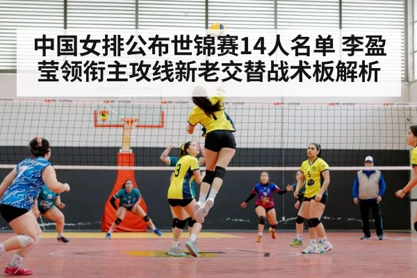 中国女排公布世锦赛14人名单 李盈莹领衔主攻线新老交替战术板解析