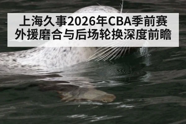 上海久事2026年CBA季前赛外援磨合与后场轮换深度前瞻