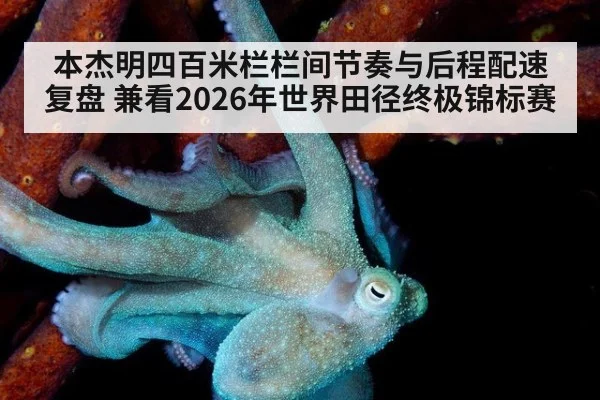 本杰明四百米栏栏间节奏与后程配速复盘 兼看2026年世界田径终极锦标赛
